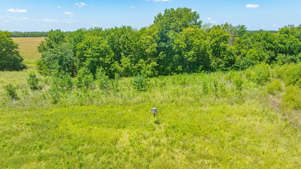 Tbd Cr 3320 End Pecan Gap TX 75469