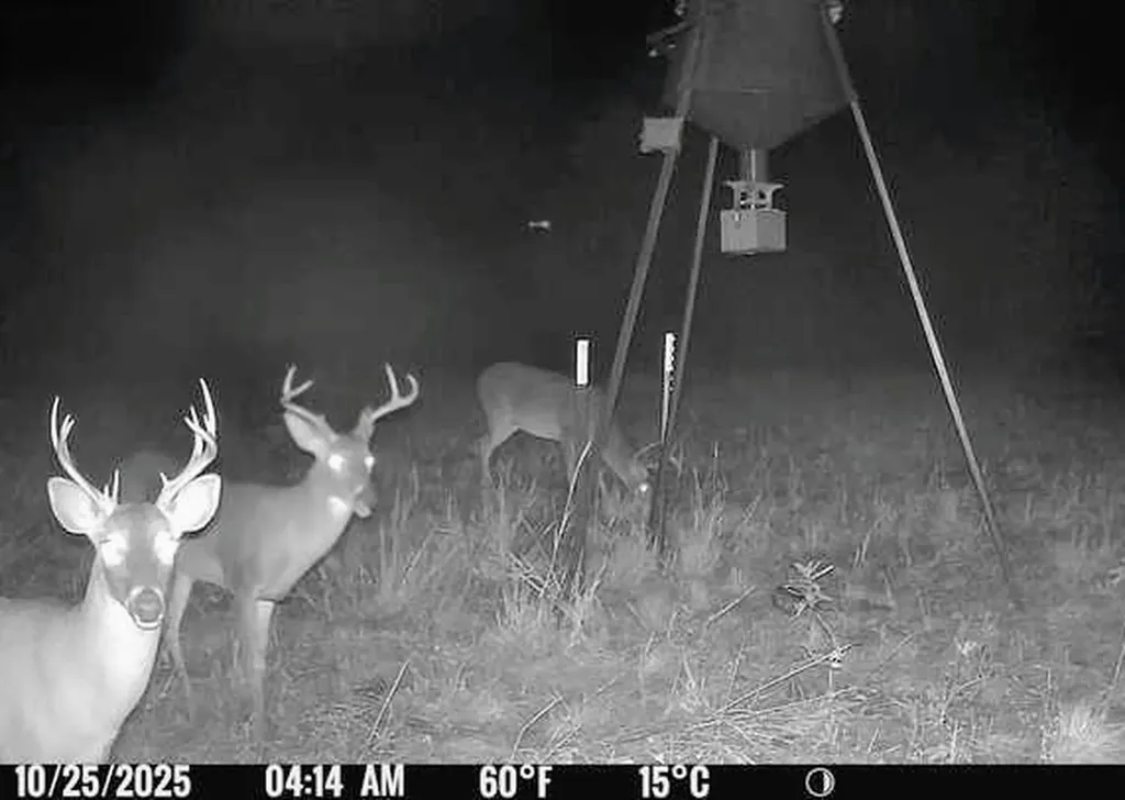Tbd Cr 3320 End Pecan Gap TX 75469