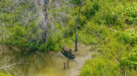 Tbd Cr 3320 End Pecan Gap TX 75469