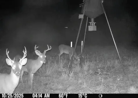 Tbd Cr 3320 End Pecan Gap TX 75469