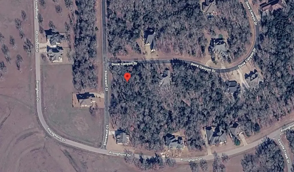 72 Stonewolf Court Gordonville TX 76245