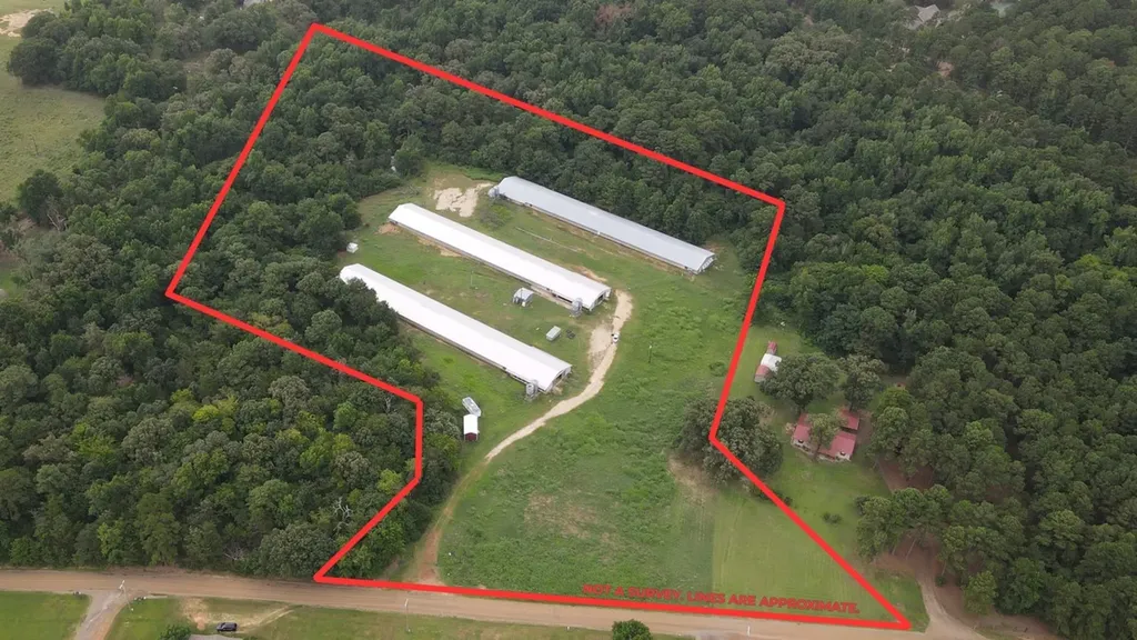 Tbd County Road 4114 Pittsburg TX 75686