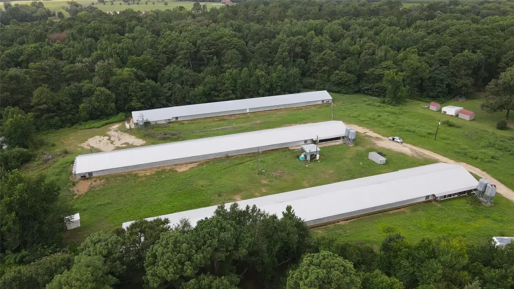 Tbd County Road 4114 Pittsburg TX 75686