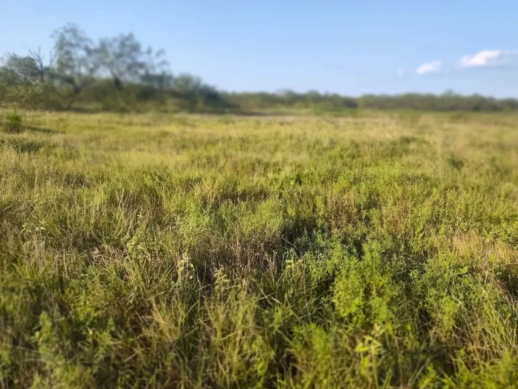 49 Boren Private Road Wortham TX 76693