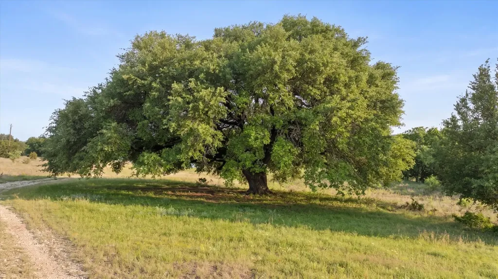 Tbd Cr 302 Glen Rose TX 76048