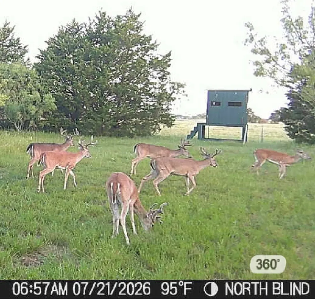 315 County Road 2240 Kerens TX 75144