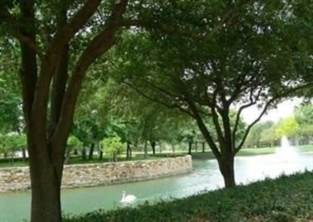 1152 Sophia Street Allen TX 75013