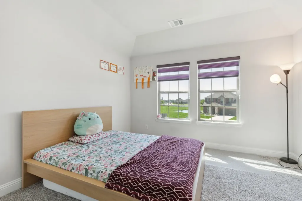 3640 Lilllian Court Celina TX 75009