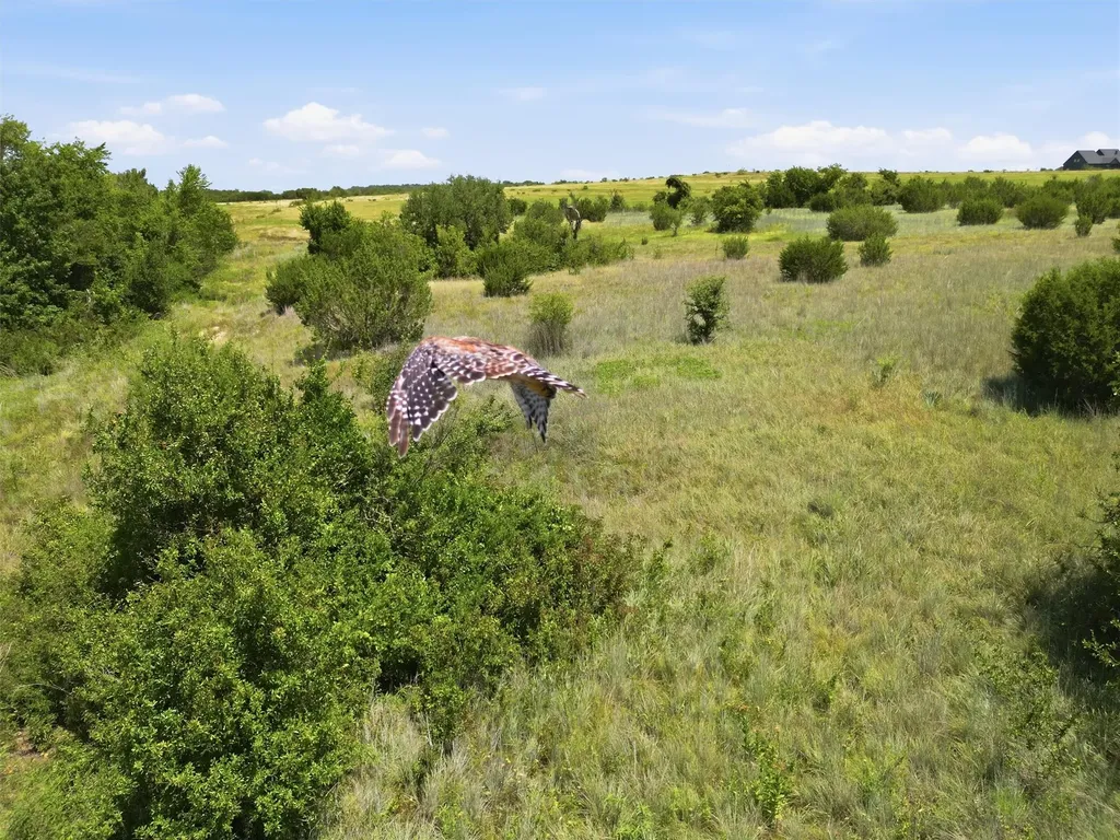 625 Hollow Drive Lipan TX 76462