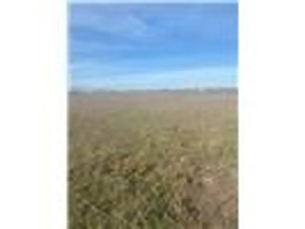 5000 Cr 5000 Lorena TX 76655