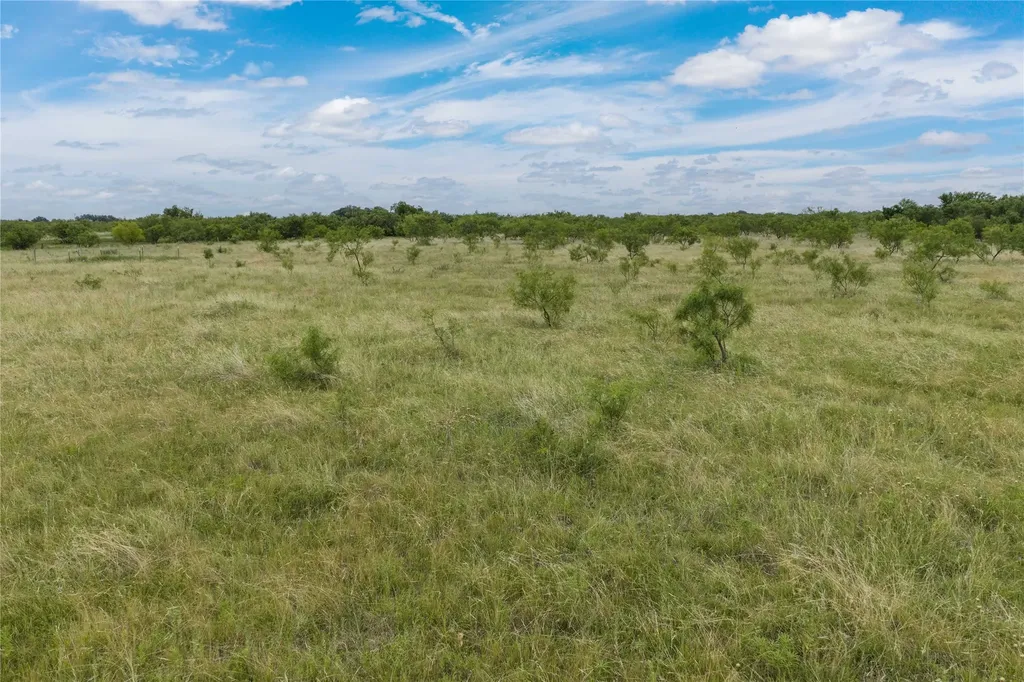 6000 Lot 1 Fm 586 S Bangs TX 76823