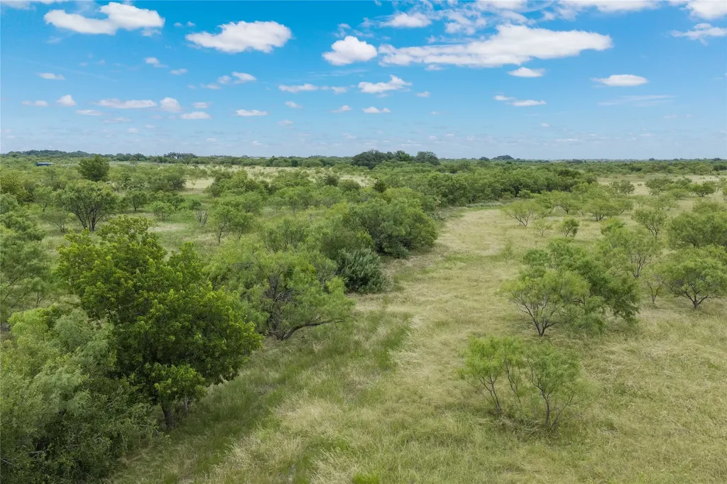 6000 Lot 1 Fm 586 S Bangs TX 76823