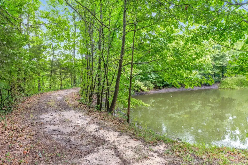 16775 State Highway 64 Ben Wheeler TX 75754