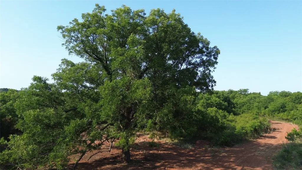0 Adair Road Byers TX 76357