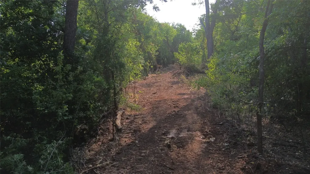 0 Adair Road Byers TX 76357