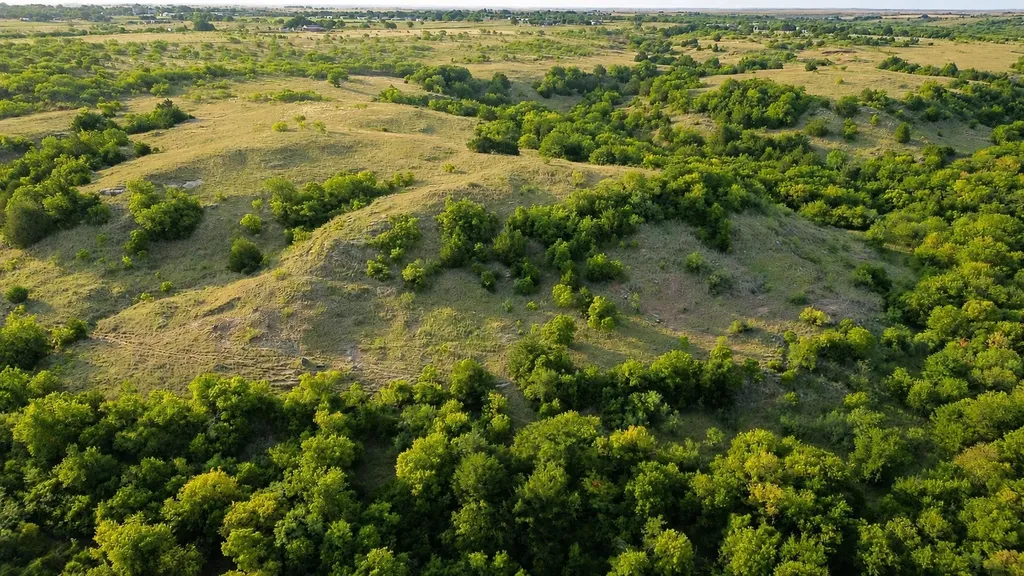 0 Adair Road Byers TX 76357
