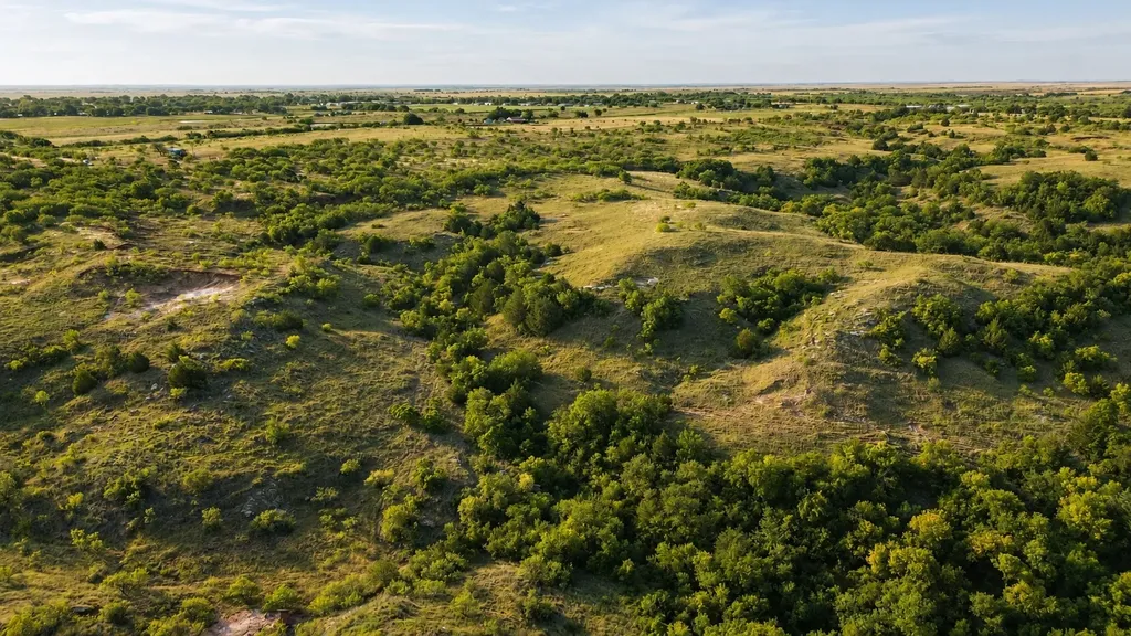 0 Adair Road Byers TX 76357