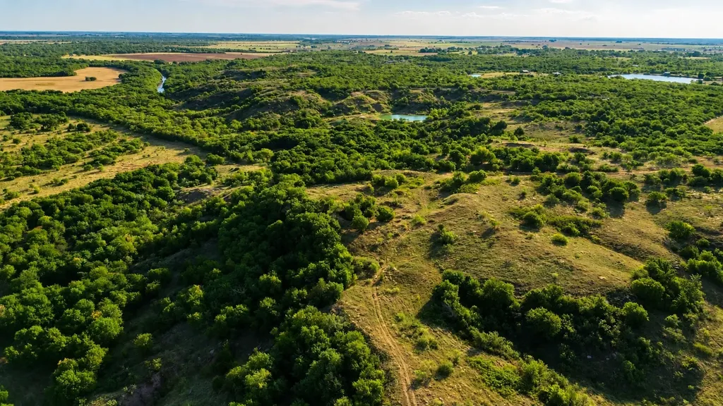 0 Adair Road Byers TX 76357