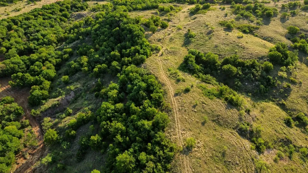0 Adair Road Byers TX 76357