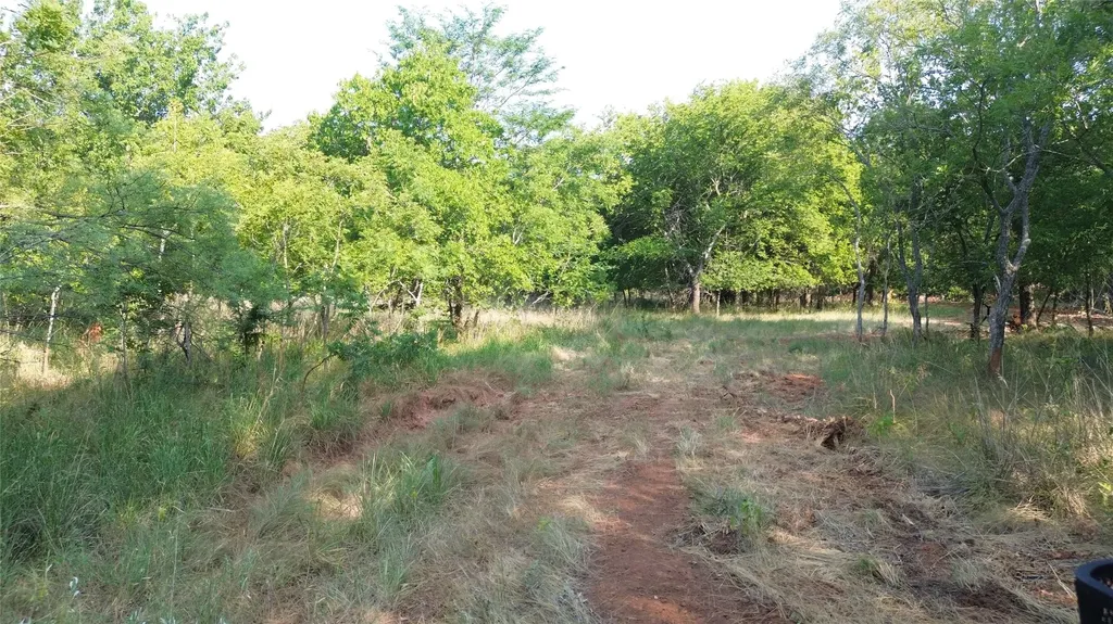 0 Adair Road Byers TX 76357