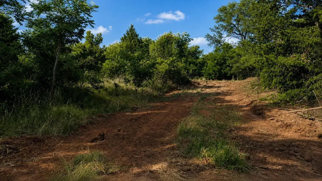 0 Adair Road Byers TX 76357