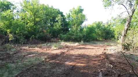 0 Adair Road Byers TX 76357