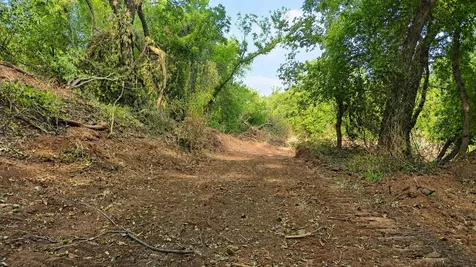 0 Adair Road Byers TX 76357