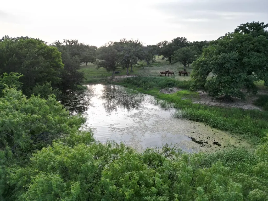 951 Fm 1476 Dublin TX 76446