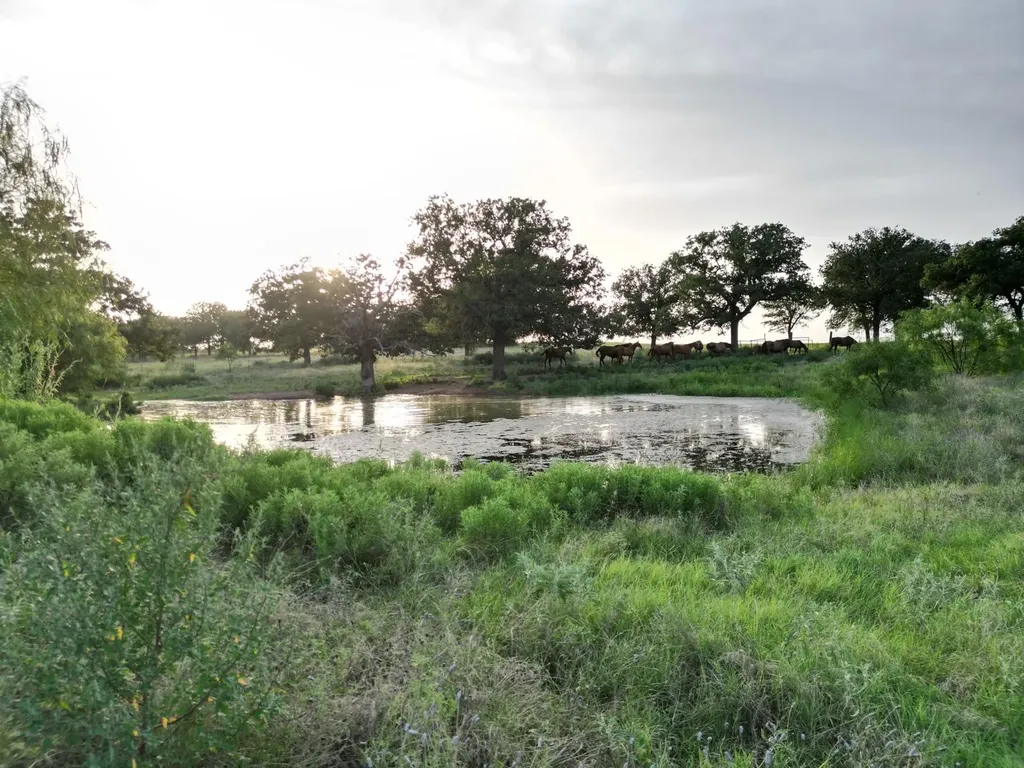 951 Fm 1476 Dublin TX 76446