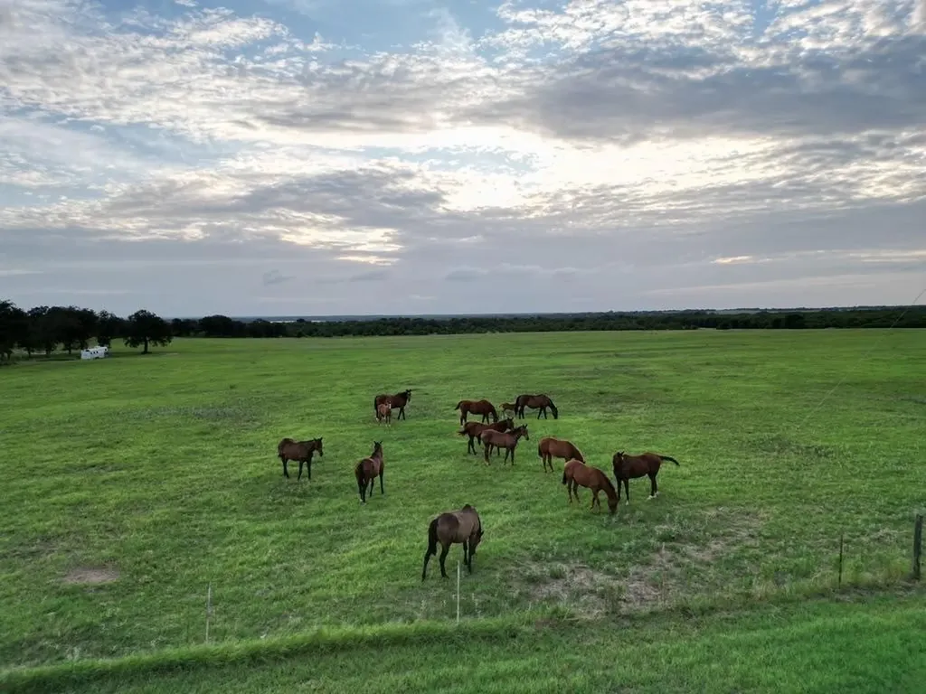 951 Fm 1476 Dublin TX 76446