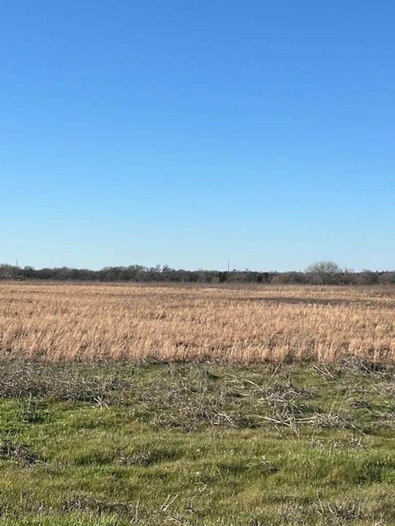 Tbd County Road 1240 Savoy TX 75479