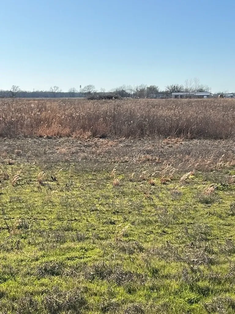 Tbd County Road 1240 Savoy TX 75479