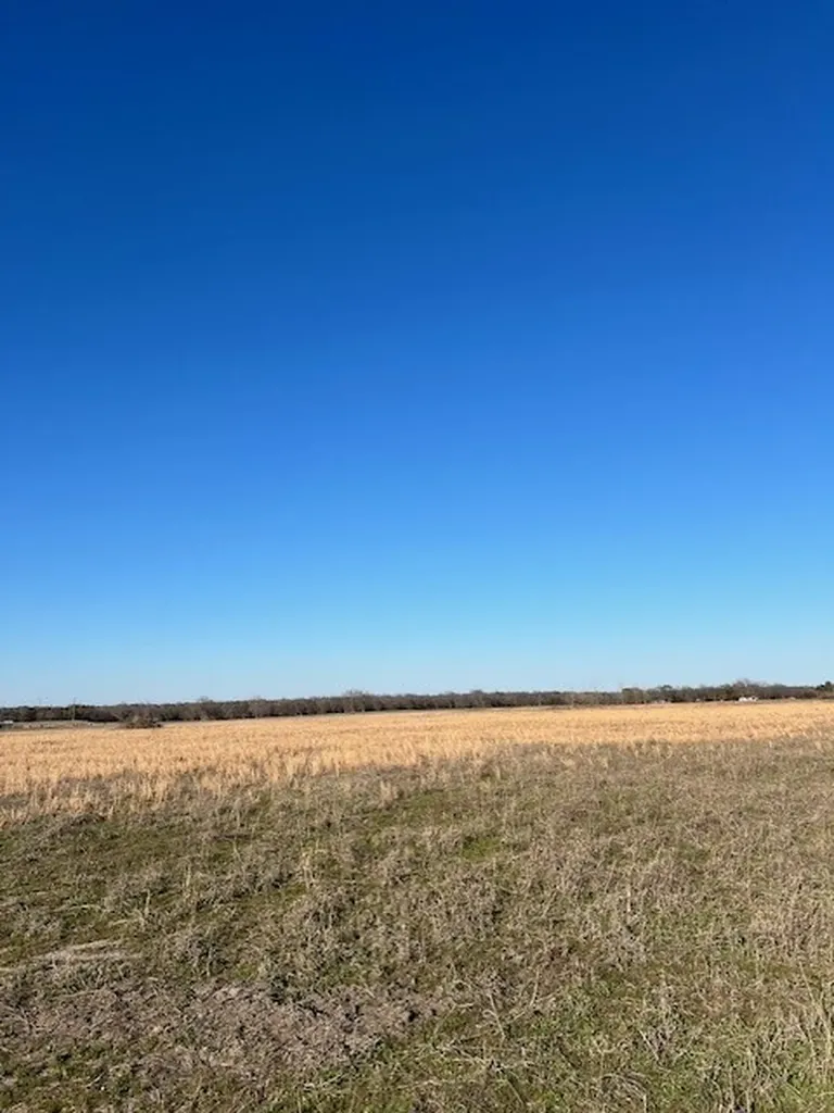 Tbd County Road 1240 Savoy TX 75479
