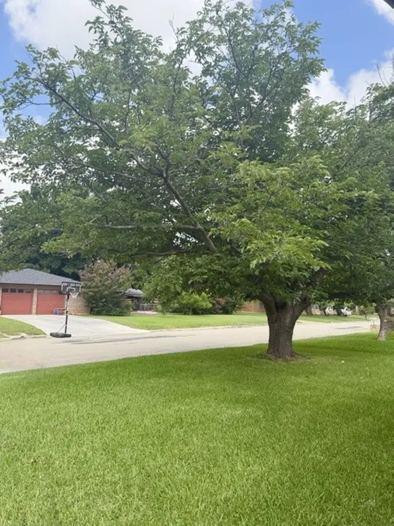 4504 Delwood Drive Brownwood TX 76801