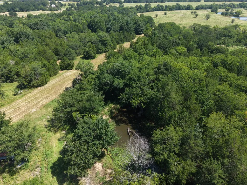 3700 County Road 4040 Whitewright TX 75491