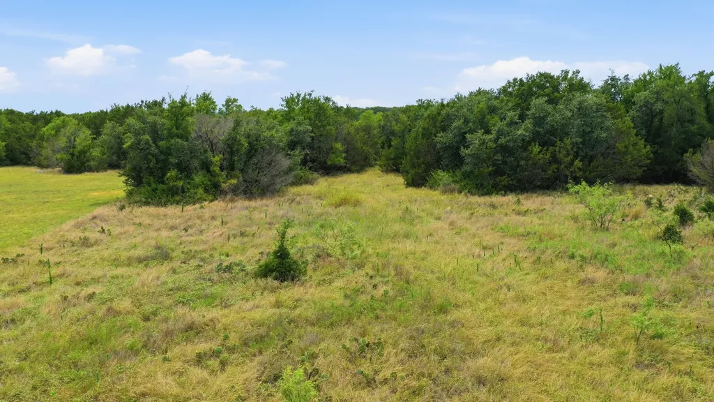 Tbd Jimmy Houston Way Bluff Dale TX 76433