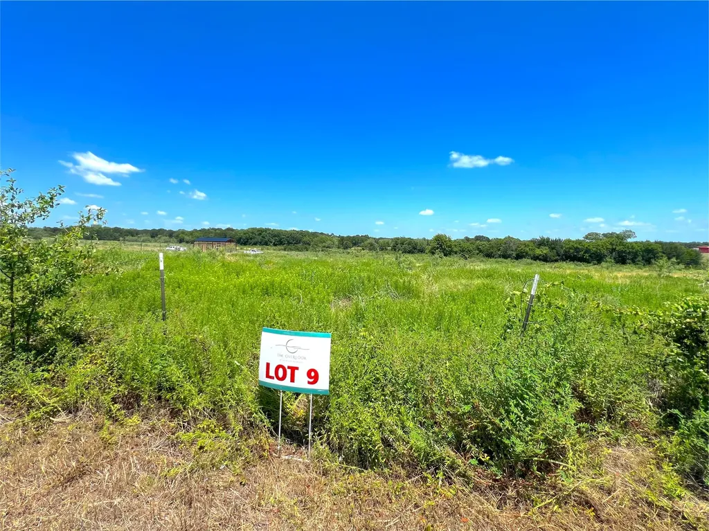 Lot 9 SE County Rd 2220 Road Corsicana TX 75109