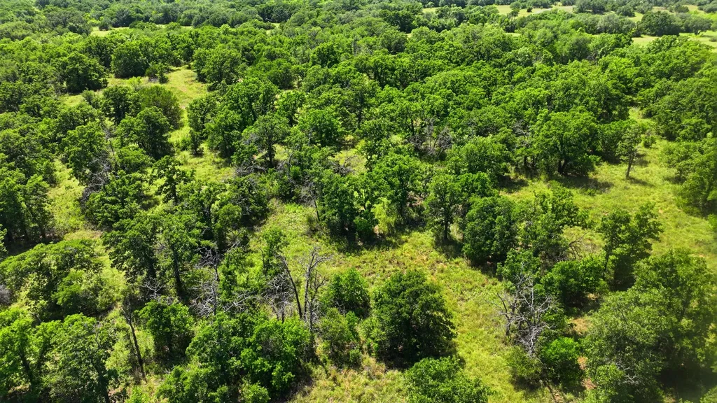 Tbd County Road 581 Cisco TX 76437
