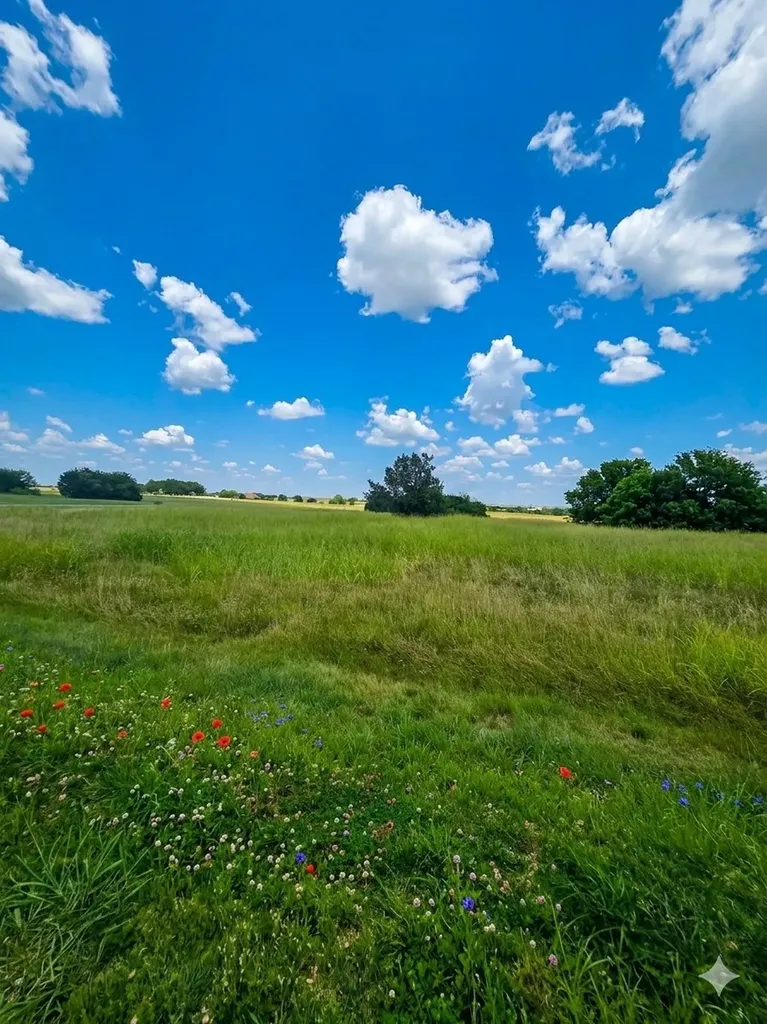 7301 Canterburg Drive Cleburne TX 76033