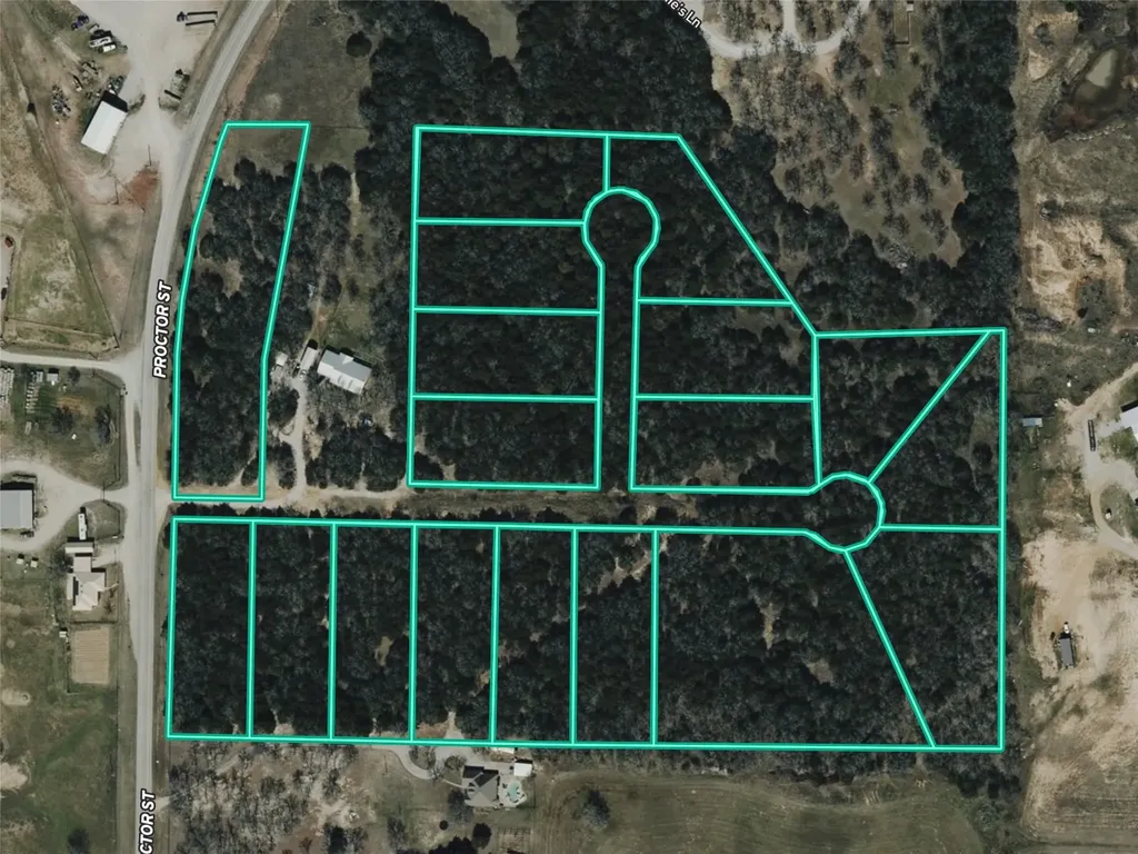 Tbd Fm 1655 Trail Alvord TX 76225