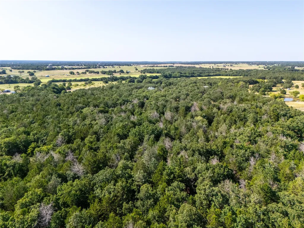Tbd Fm 1655 Trail Alvord TX 76225