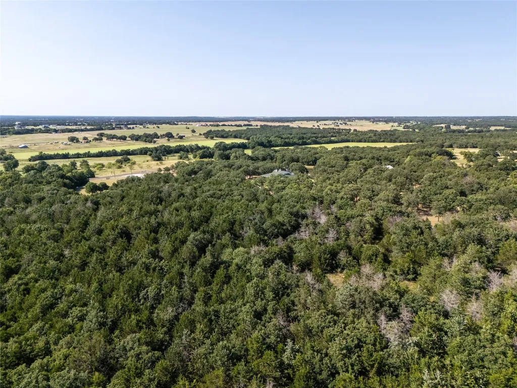 Tbd Fm 1655 Trail Alvord TX 76225