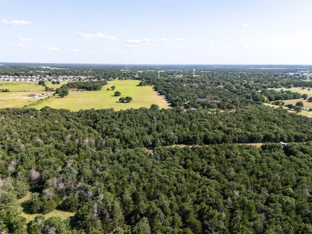 Tbd Fm 1655 Trail Alvord TX 76225