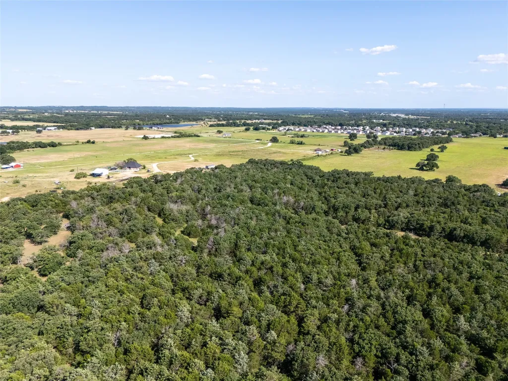 Tbd Fm 1655 Trail Alvord TX 76225