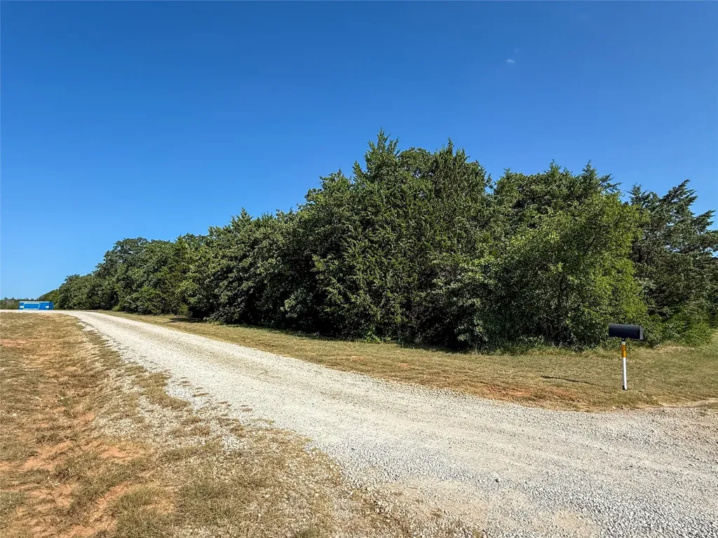 Tbd Fm 1655 Trail Alvord TX 76225