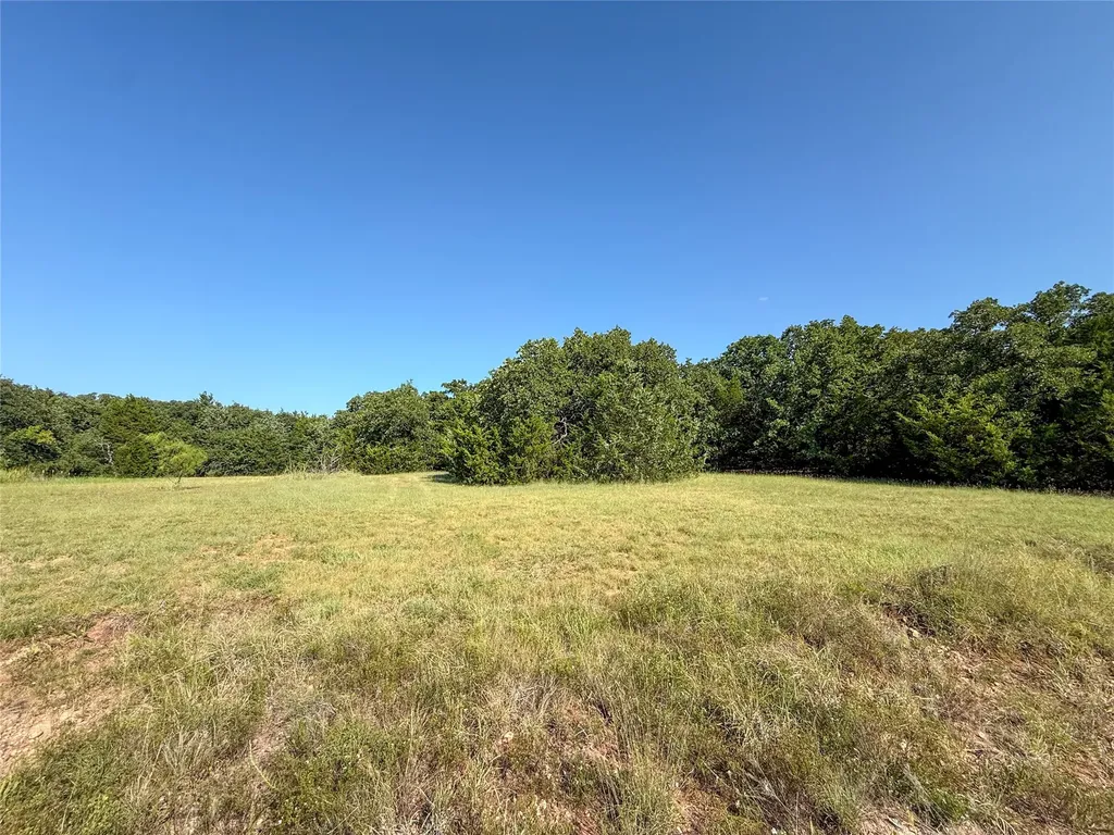 Tbd Fm 1655 Trail Alvord TX 76225