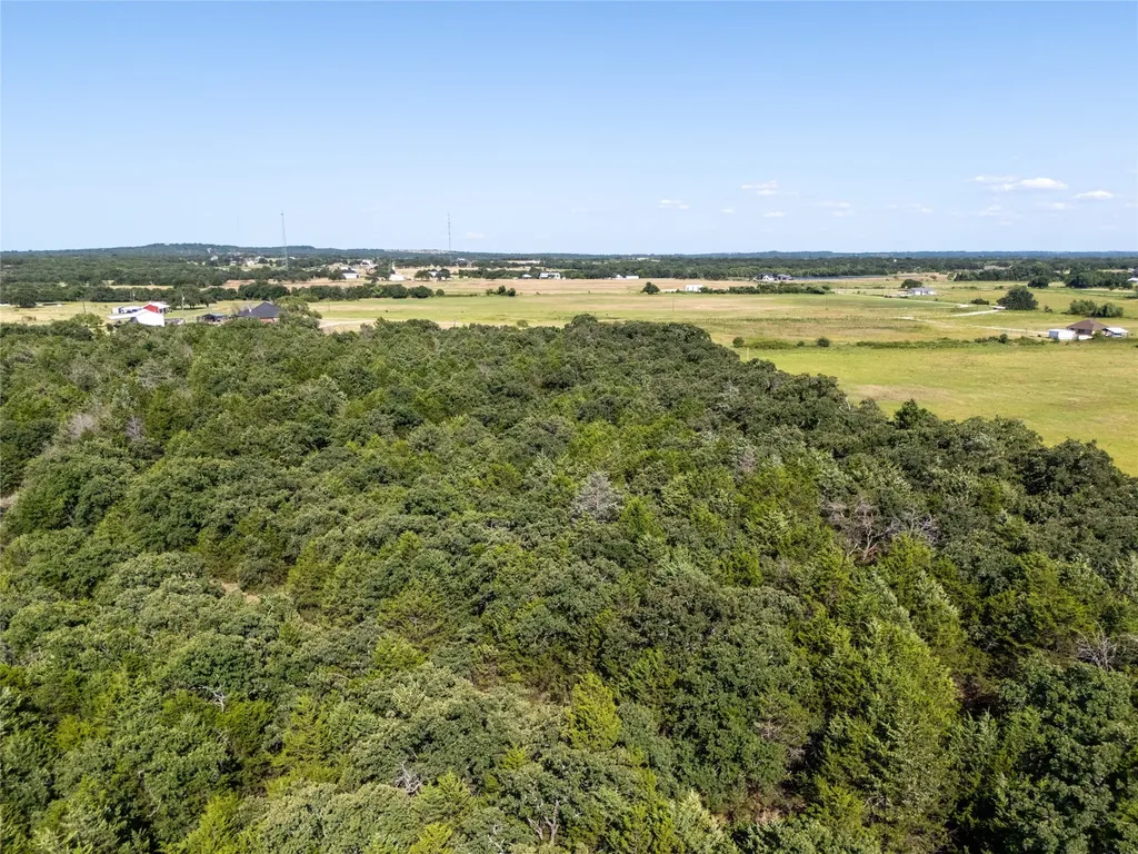 Tbd Fm 1655 Trail Alvord TX 76225