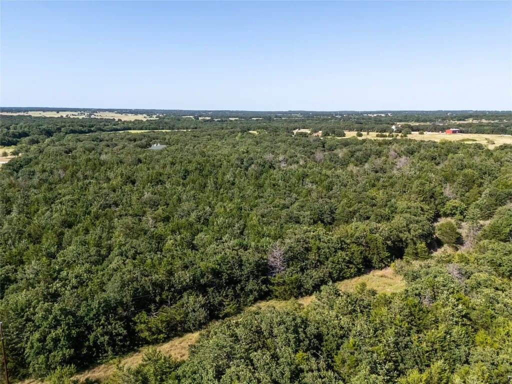 Tbd Fm 1655 Trail Alvord TX 76225