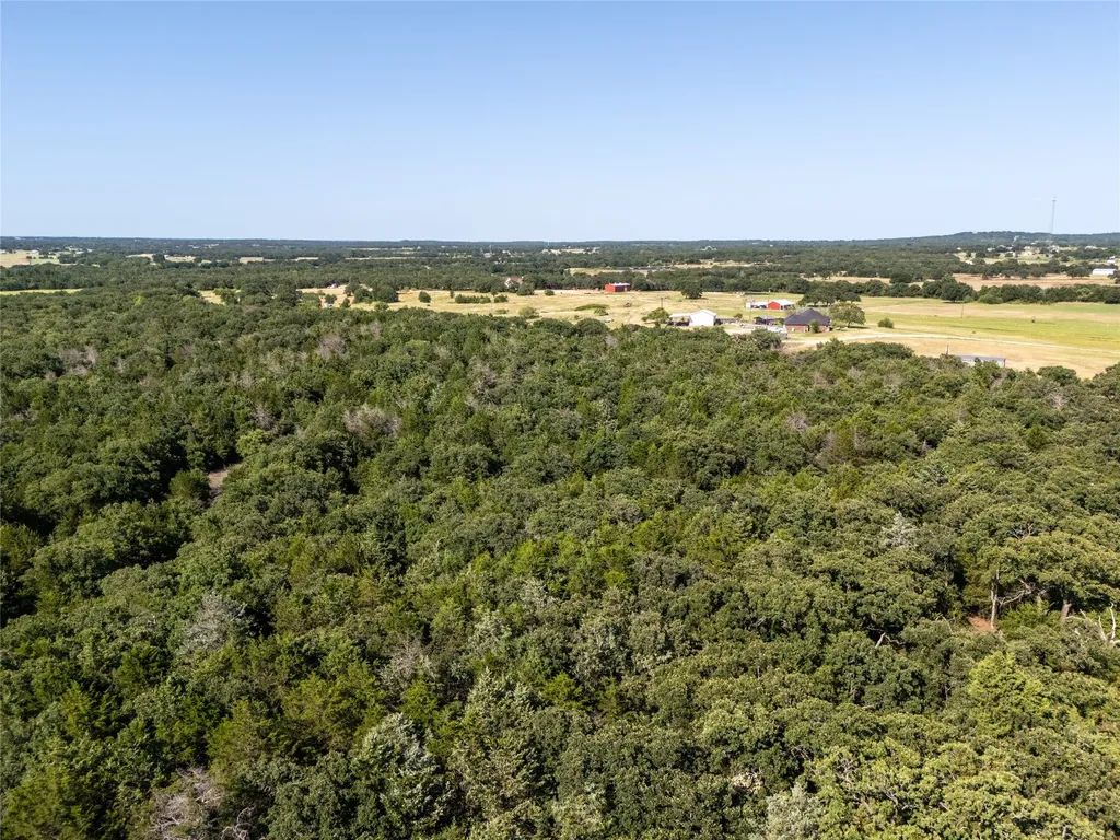 Tbd Fm 1655 Trail Alvord TX 76225
