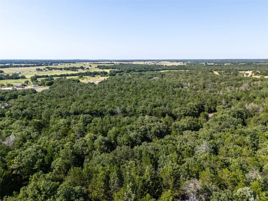 Tbd Fm 1655 Trail Alvord TX 76225